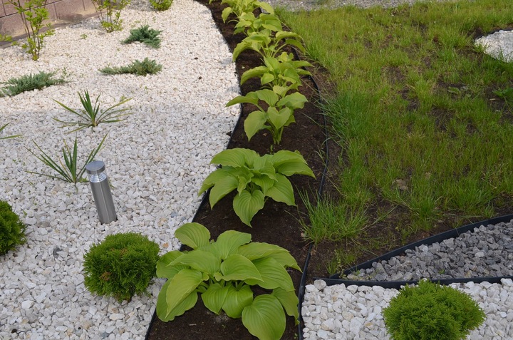 OBRZEŻE OGRODOWE TRAWNIKOWE 7,8cm PALISADA BORDER 78mm 20m + 100 KOTEW