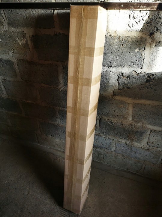 Morela KANADYJSKA duży owoc PÓŹNA samopylna / sadzonka / sadzonki