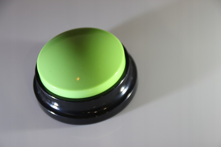 PRZYCISK SZKOLENIA Psa Kota NAGRYWANIE DŹWIĘKU przyciski NAUKA 2szt MP097