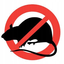 Toxan płyn 3L trutka myszy szczury gryzonie