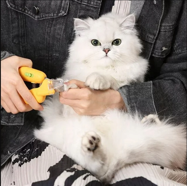 Obcinacz do pazurów dla zwierząt PSA, KOTA + światło LED + Pilnik