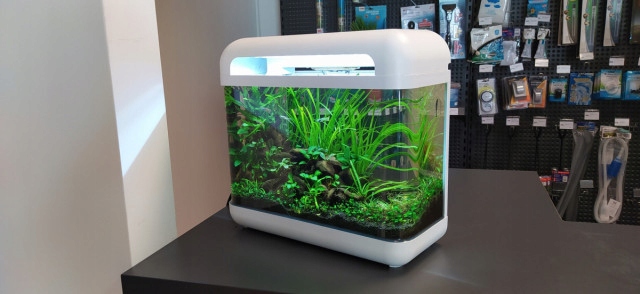 INVITAL EasyTank CASCADE LED 17 litrów biały