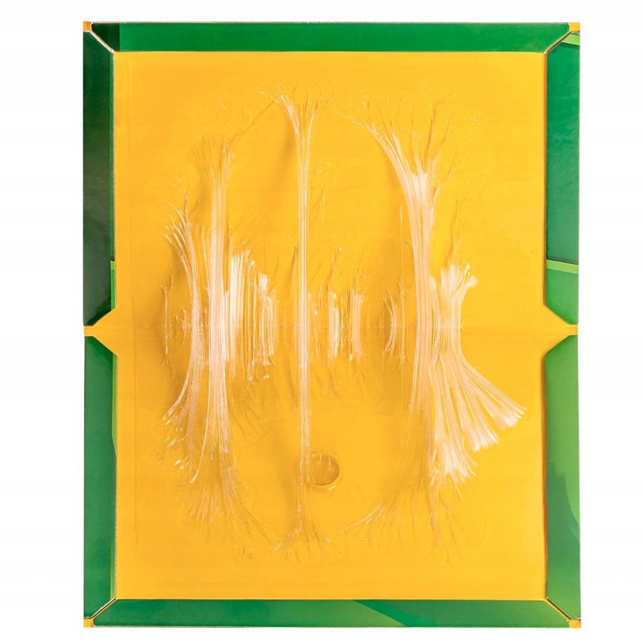 30x SILNY LEP NA MYSZY PUŁAPKA Z KLEJEM ŁAPKA SZCZURY MYSZOŁAPKA