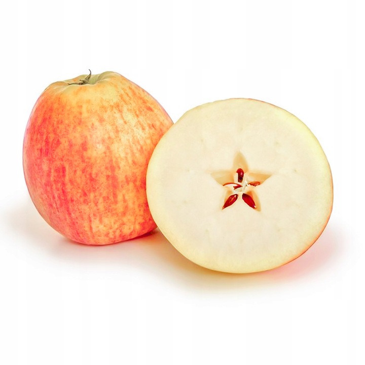 SADZONKI DRZEWKA OWOCOWE JABŁOŃ KOKSA POMARAŃCZOWA O SMAKU GRUSZKI