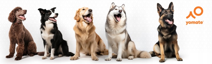 MOCNA SMYCZ dla DUŻEGO PSA / AUTOMATYCZNA / ZWIJANA / BLOKADA / 5 Metrów