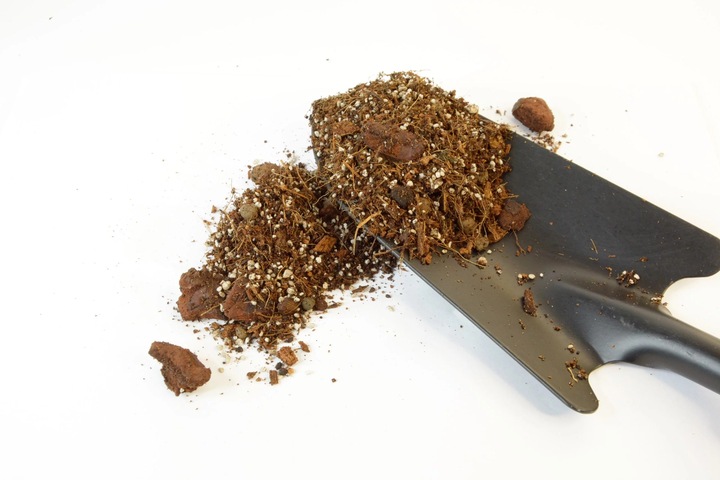 IMSOIL Ziemia Dedykowana do ALOKAZJI 10L