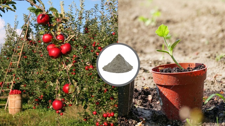 Mączka bazaltowa kruszywo pył trawnik ogród 25kg