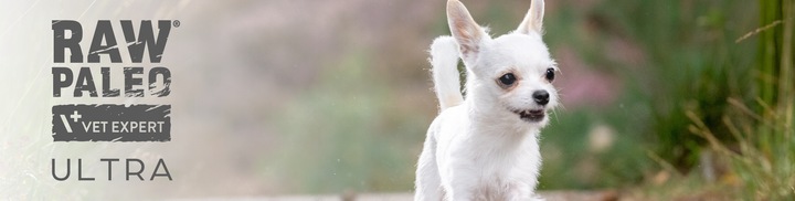 RAW PALEO ULTRA TURKEY ADULT MINI 2kg-sucha karma indyk dla psów ras małych