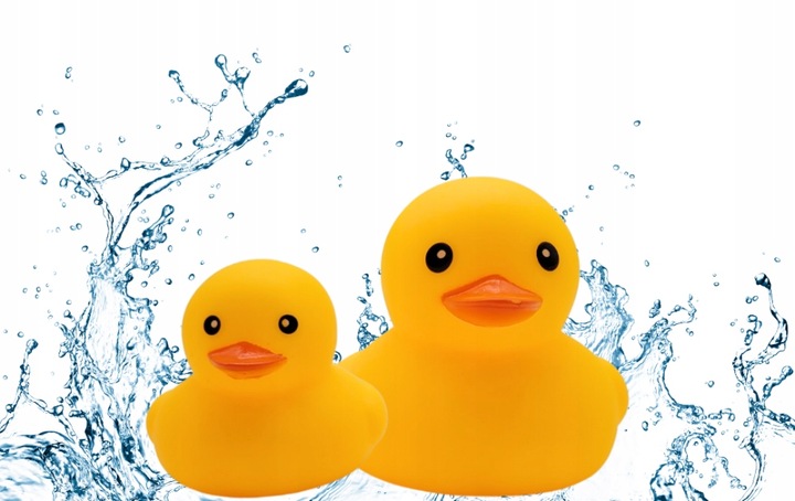 KACZKI Kaczuszki komplet 12 sztuk ŚMIESZNY ZABAWNY PREZENT PISZCZAŁKA