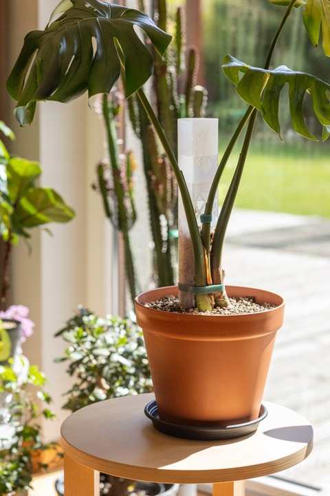 SPHAGROW AQUADRIP Nawadniacz kropelkowy do palika SPHAGROW D-6-25