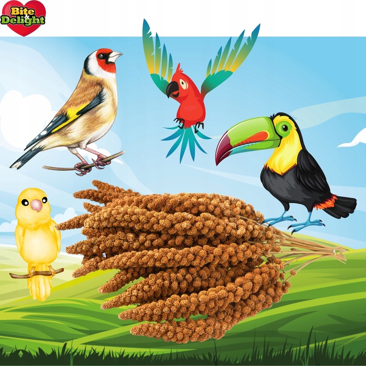 PROSO SENEGALSKIE BIAŁE + CZERWONE 0,5KG + 0,5KG CZYSTE DUŻE KŁOSY