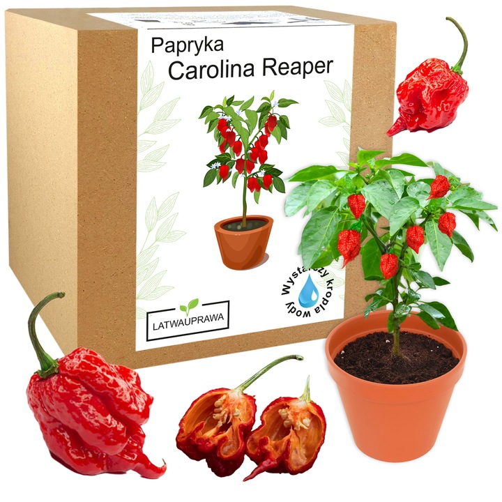 ZESTAW DO UPRAWY PAPRYKA CAROLINA REAPER HP22B RED NASIONA NAJOSTRZEJSZA