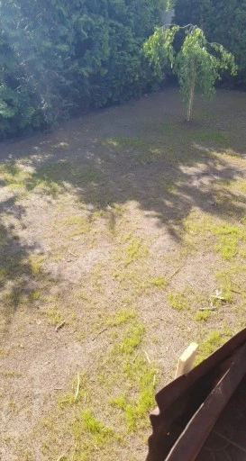 Trawa UNIWERSALNA nasiona trawy SAMOZAGĘSZCZAJĄCA odporna na DEPTANIE 5kg