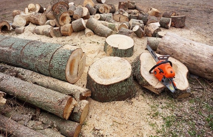 PIŁA SPALINOWA PILARKA ŁAŃCUCHOWA DO DREWNA 2X ŁAŃCUCH 2X PROWADNICA 2xOLEJ