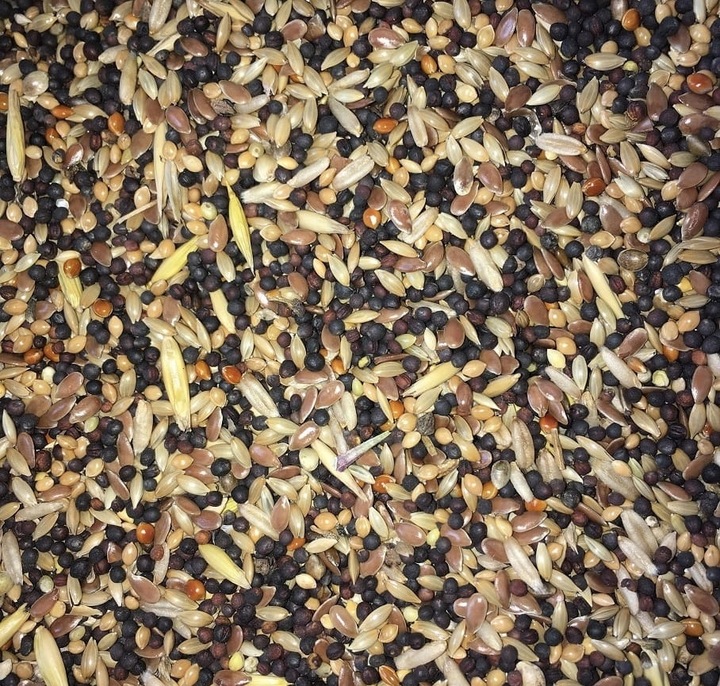 pokarm dla kanarków karma kanarek wiaderko 3 litr #210