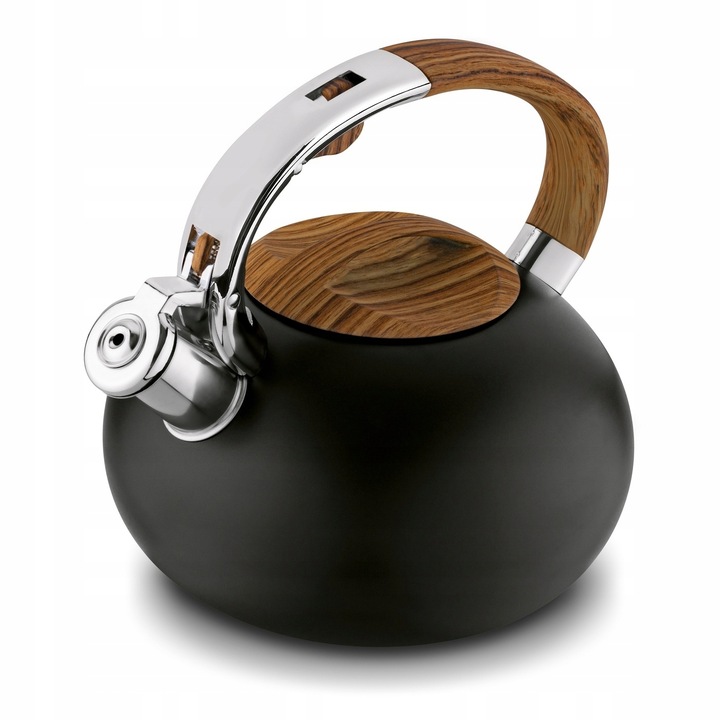 Energooszczędny CZAJNIK INDUKCJA z GWIZDKIEM czajnik NA GAZ 2,5L Douglas