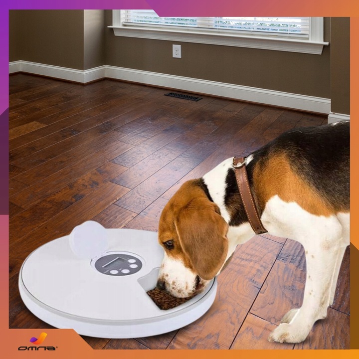 Automatyczny podajnik karmy dla kota psa królika kotów dozownik karmy miska