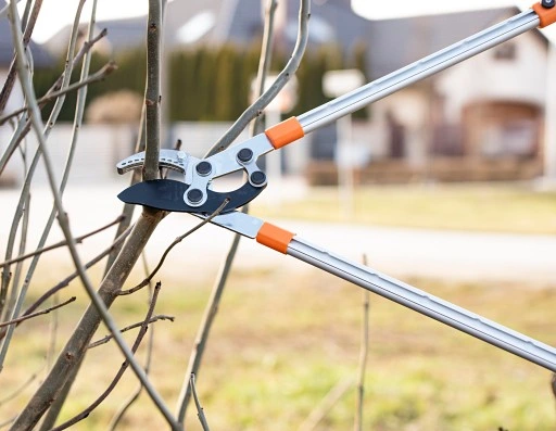 SEKATOR TELESKOPOWY KOWADEŁKOWY DO GAŁĘZI KRZEWÓW PĘDÓW OGRODOWY + RĘKAWICE