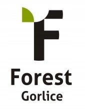 CHLEBAK POJEMNIK NA PIECZYWO DREWNIANY JEDNOCZĘŚCIOWY NATURALNY DUŻY 40x27