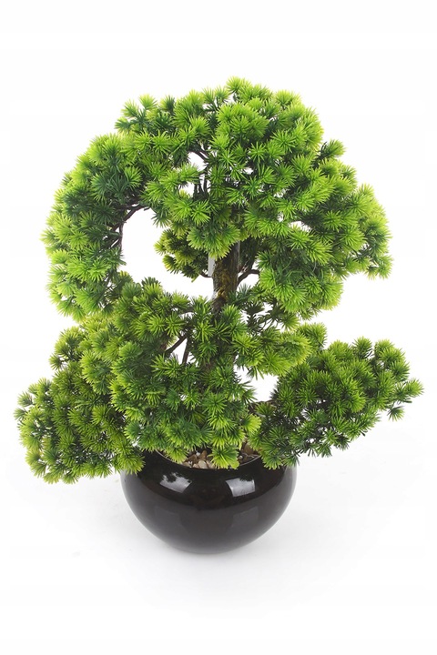 sztuczne drzewko BONSAI LARCH 48x35 modrzew w ceramicznej czarnej doniczce