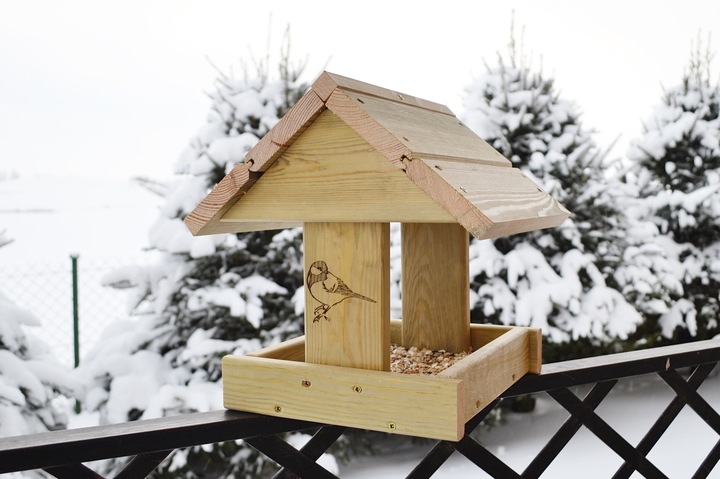 ECO Karmnik Dla Ptaków XXL+ DREWNIANY Solidny DIY Łatwy Montaż BUDKA