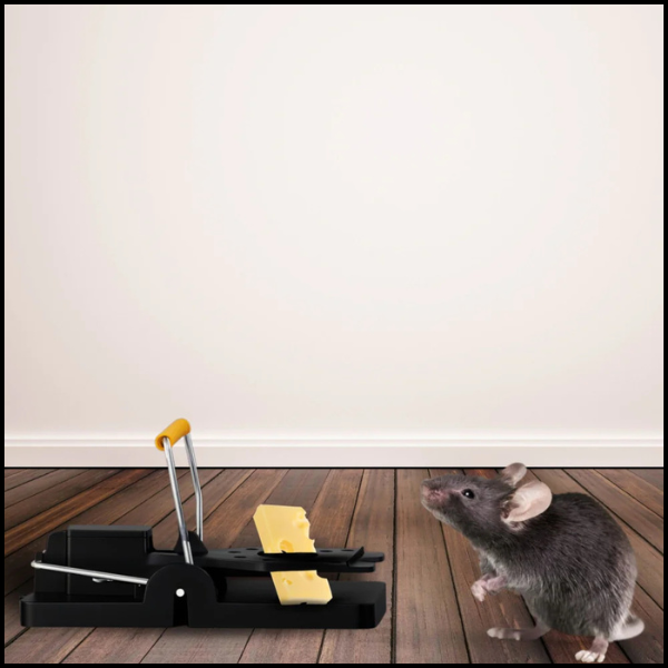 2XPUŁAPKA KLASYCZNA GILOTYNOWA NA SZCZURY MYSZ GRYZONIE PLASTIKOWA SPRĘŻYNA