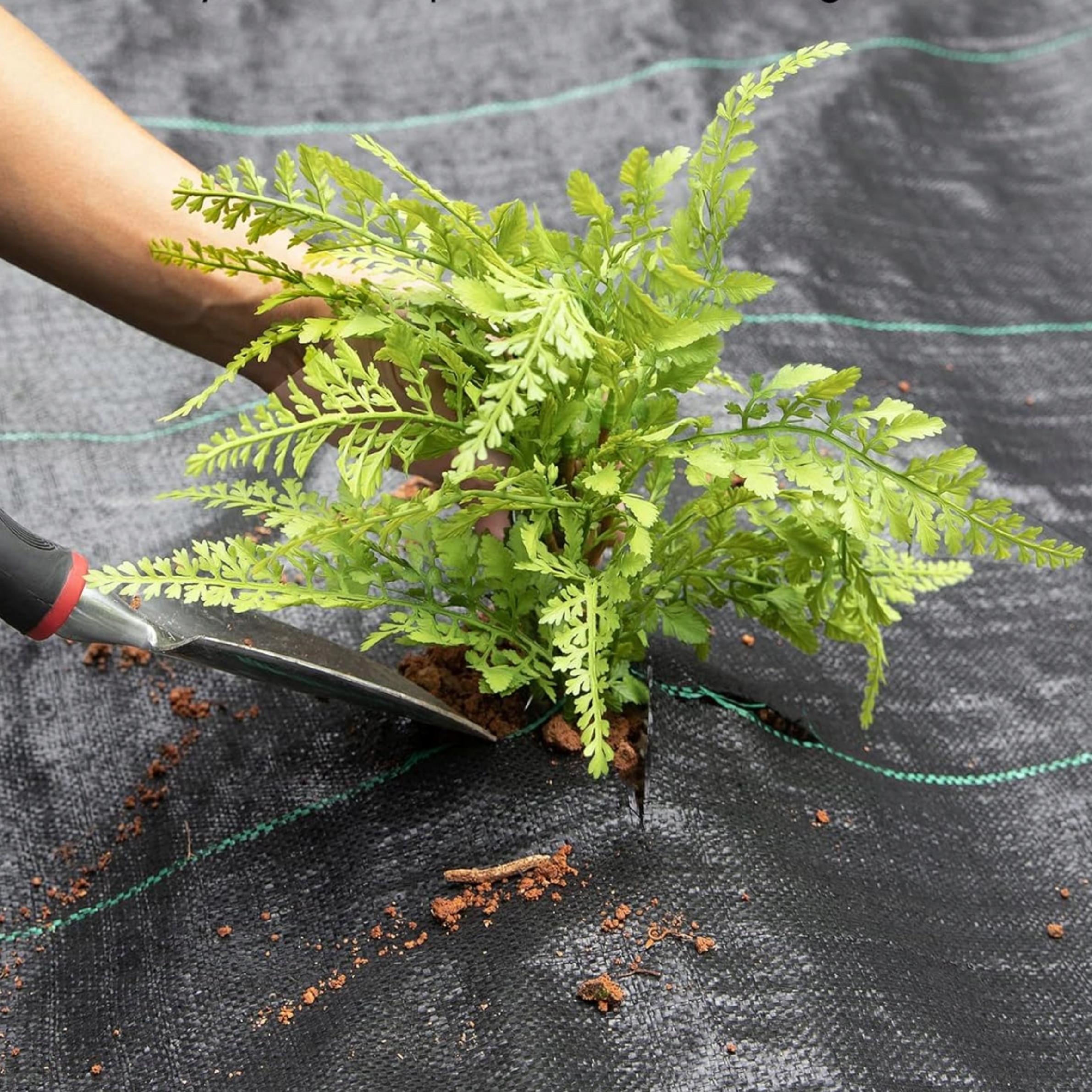 7b80d0f2b81dd4957901a5523a862b64.jpg