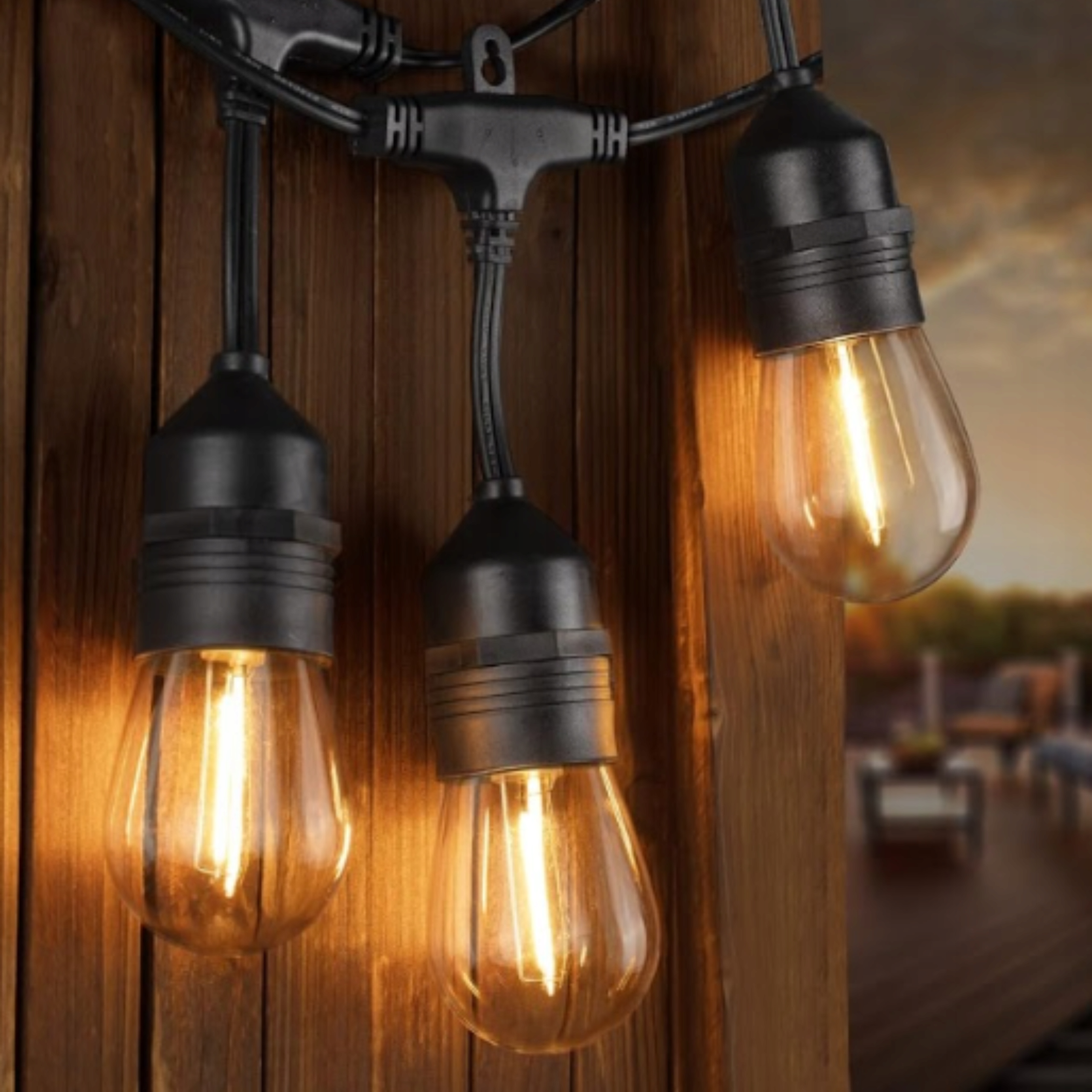 Гірлянда садова LED з лампочками RED GARDEN 10м