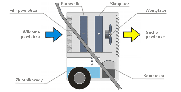 638dfa4c6aadb4883e5a464fa7773bb6.png