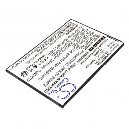Baterie Samsung SM-X300 EB-BX306GBY 4800 mAh