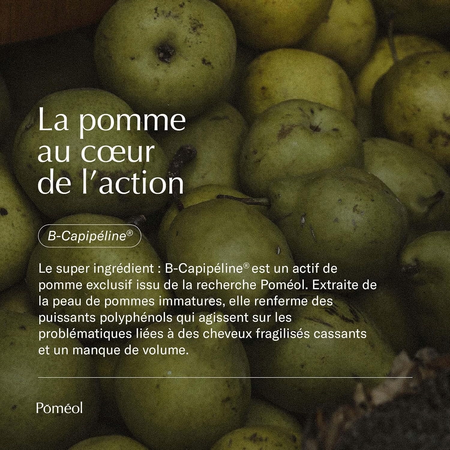 0000639ee52f7ed421e56a1befac1592.jpg