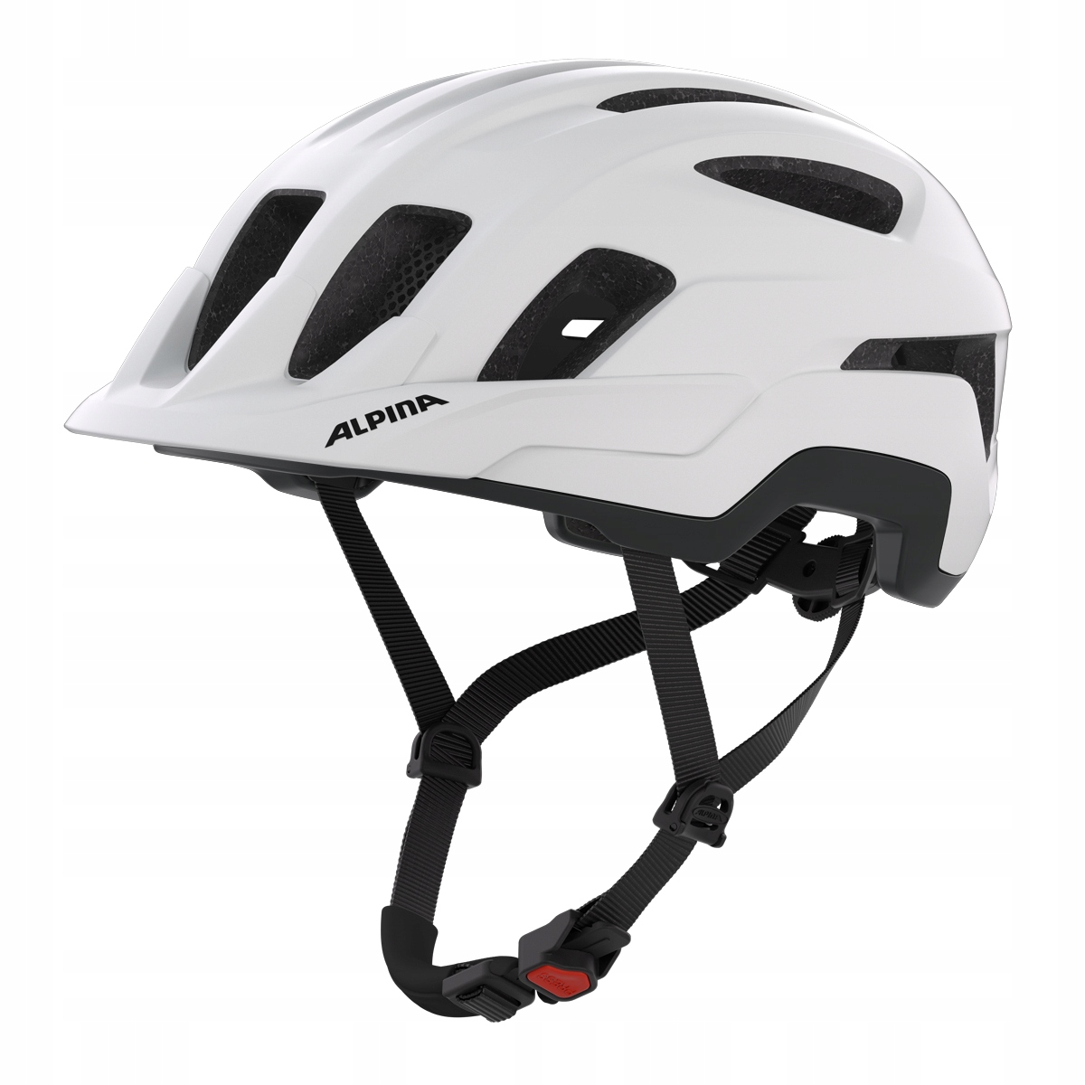 08ad8c3f5bc8d96ef2d194a1ffea686b.jpg