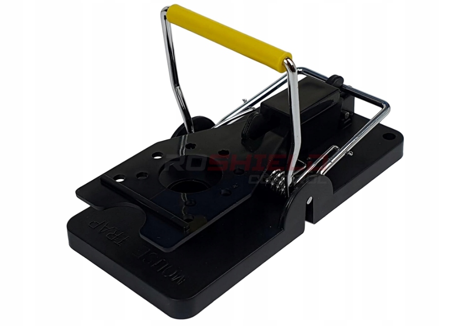 83a41f9de022b685201fc68aed975008.jpg