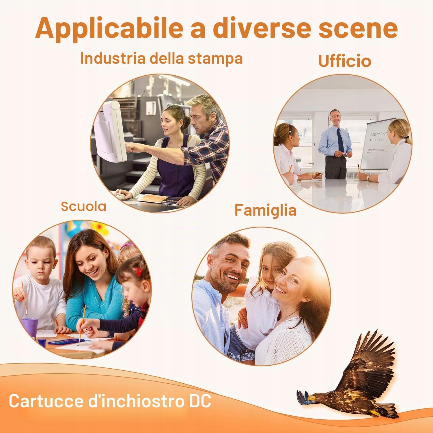 dcc0806dd5355bde5e4e4b7936aee353.jpg