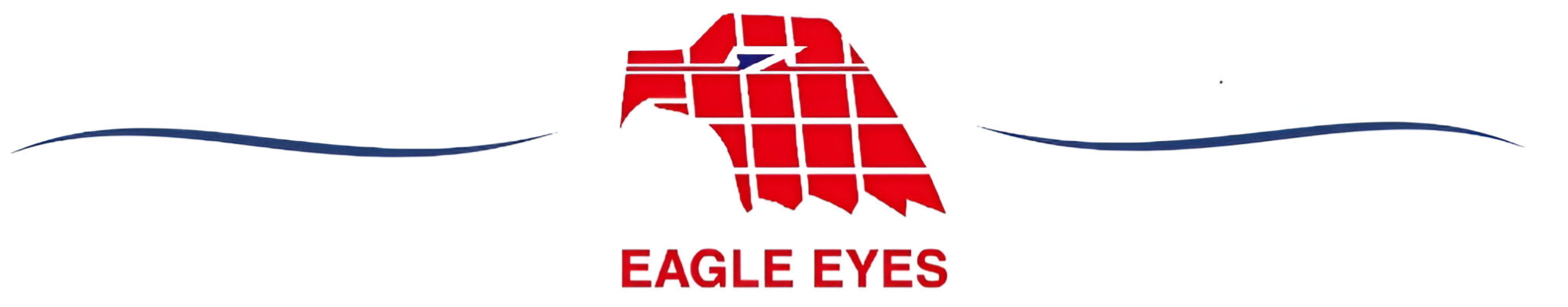 TYLNE Lampy DIODOWE Do BMW X3 E83 Od 2004 Do 2006 LED RED-SMOKE ATEST NOWE