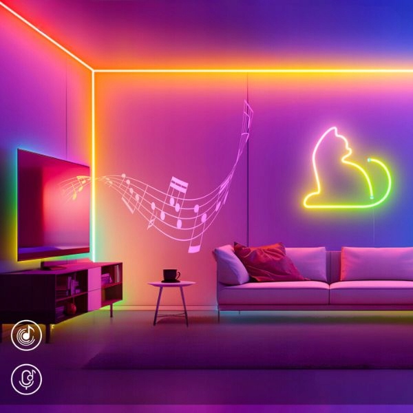 NEON LED 5V DC Aplikacja Bluetooth 5m Muzyczna Taśma LED RGB-IC Pływające