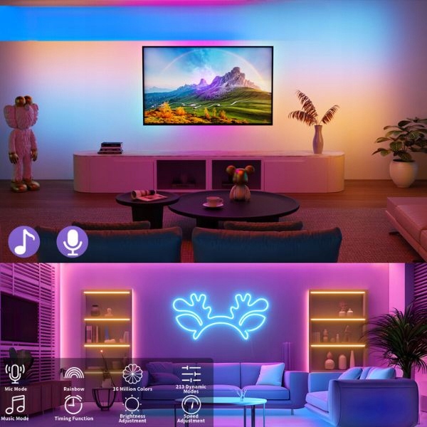 NEON LED 5V DC Aplikacja Bluetooth 5m Muzyczna Taśma LED RGB-IC Pływające