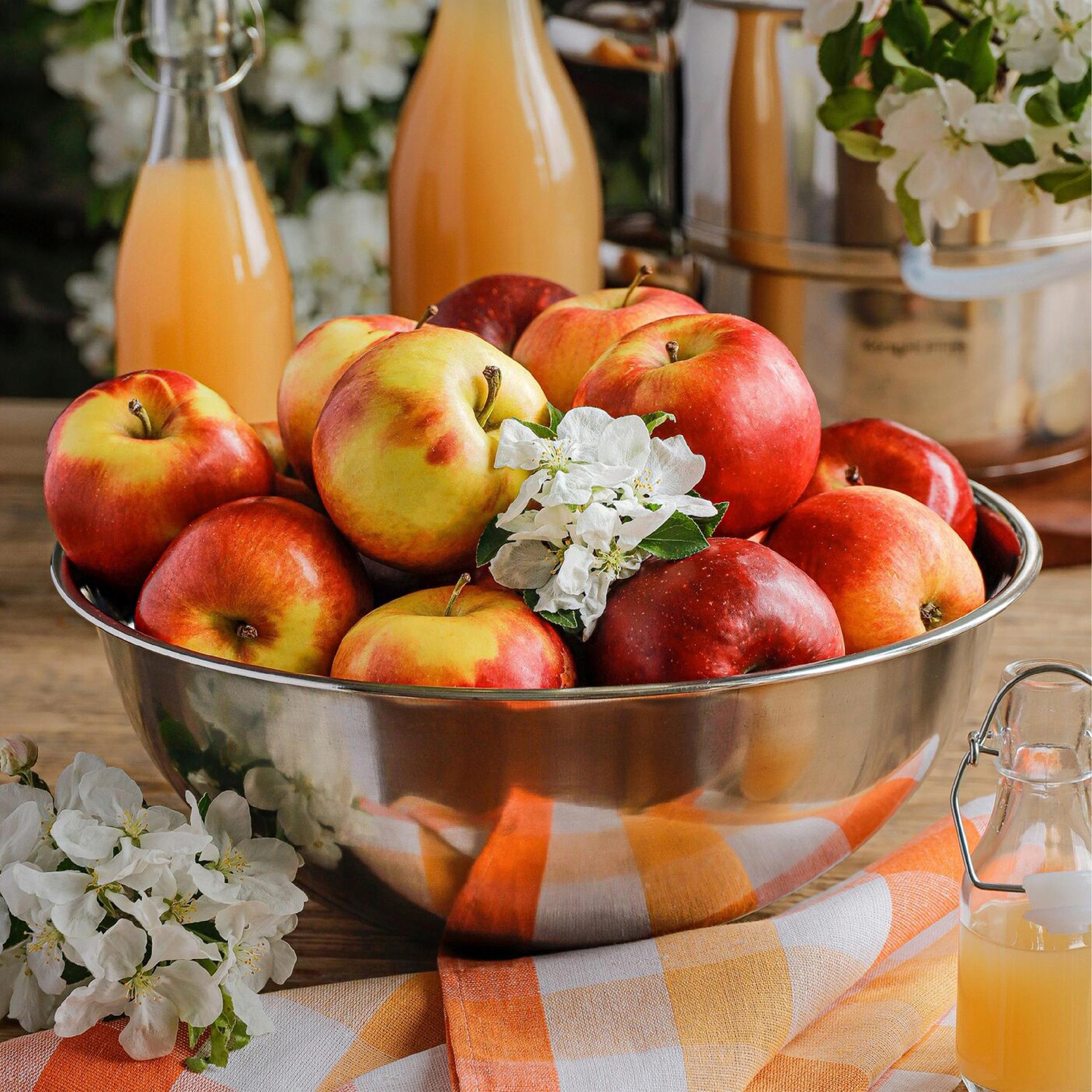 Miska stalowa nierdzewna Ø27 cm 3L VERGIONIC - kuchenna, okrągła