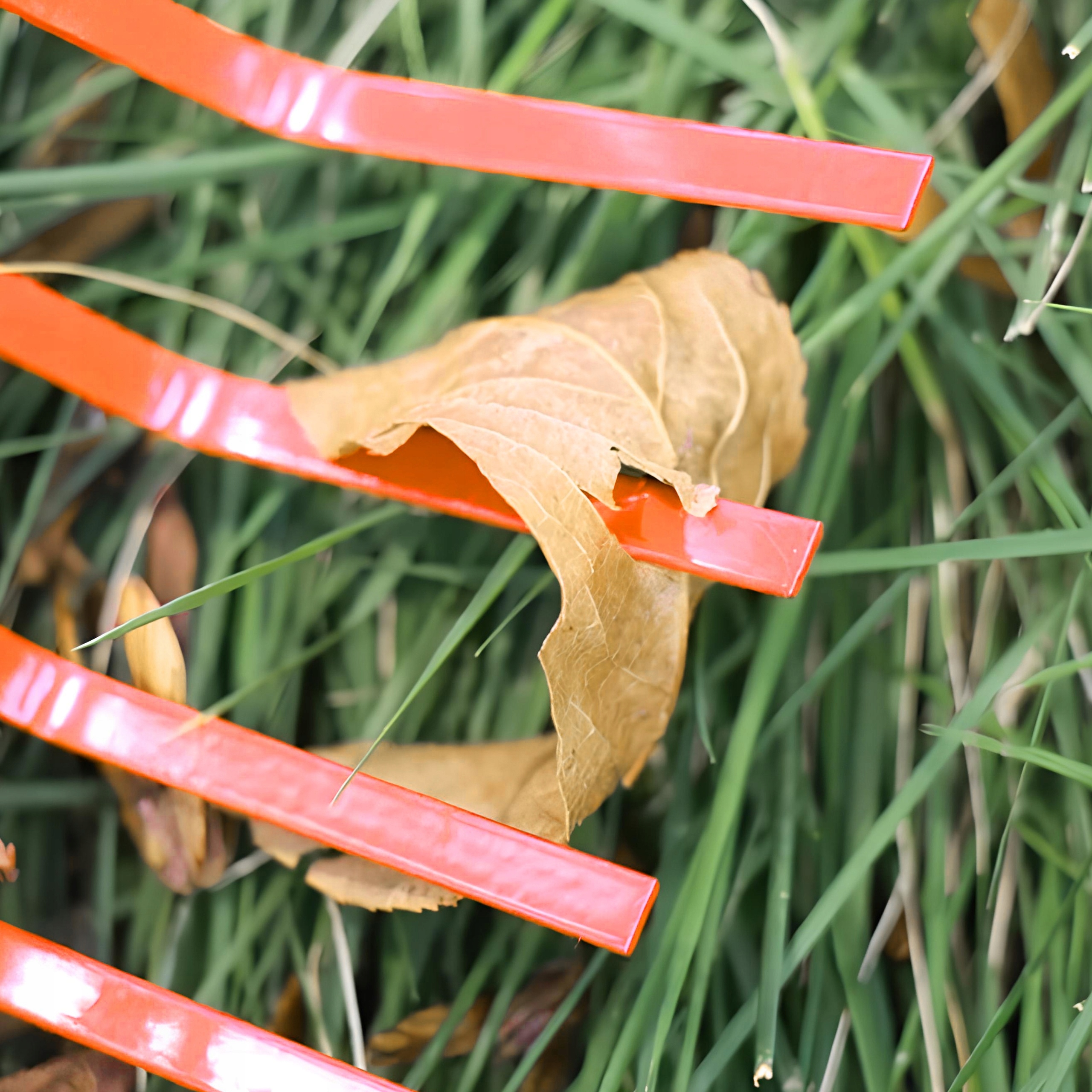 Grabie wachlarzowe metalowe 38 cm do liści trawy VERGIONIC