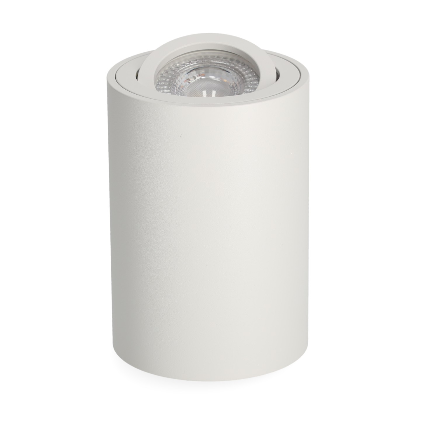 Ruchoma oprawa sufitowa SPARK L biała