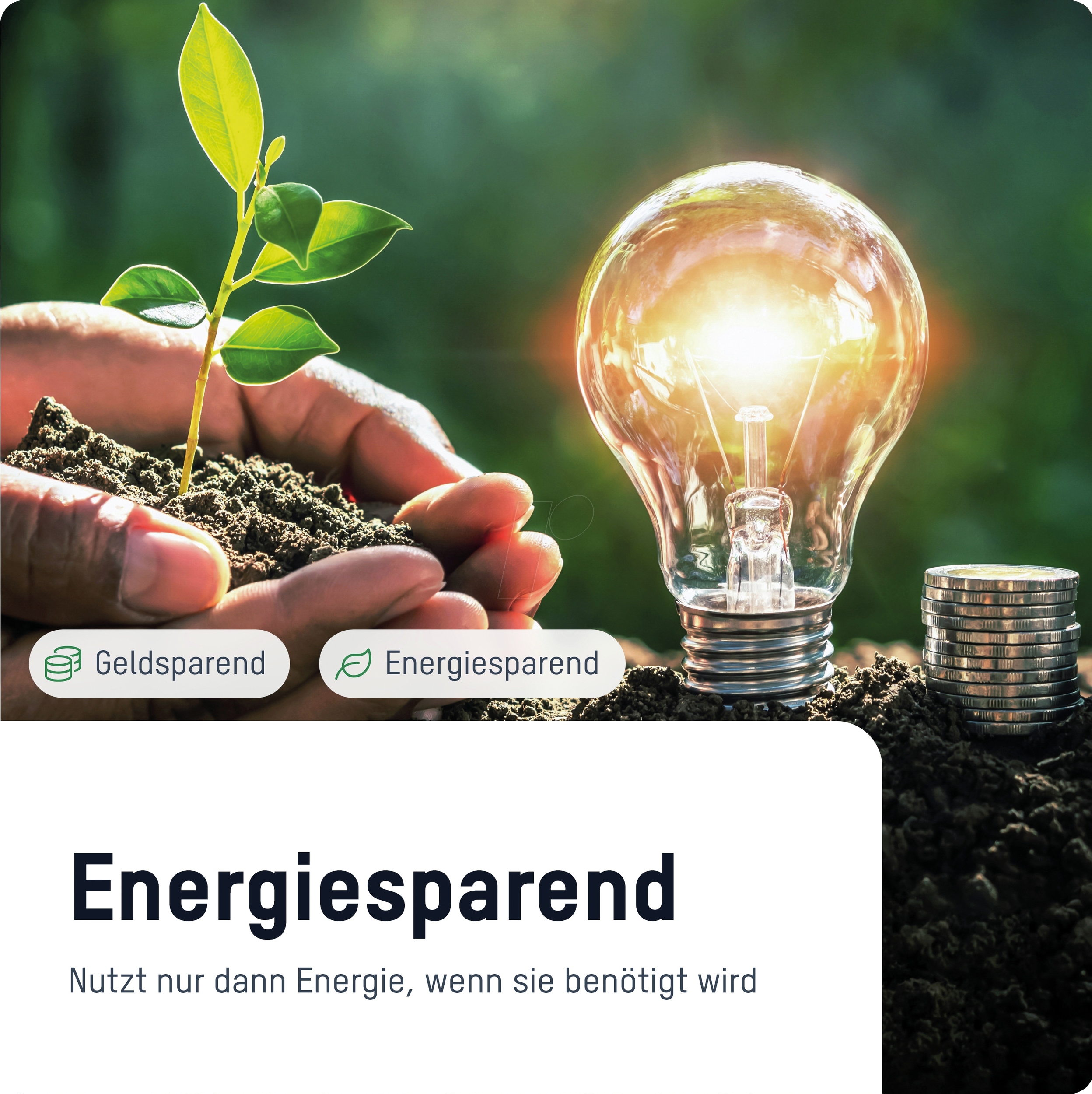 Tygodniowy timer AES5 Programator