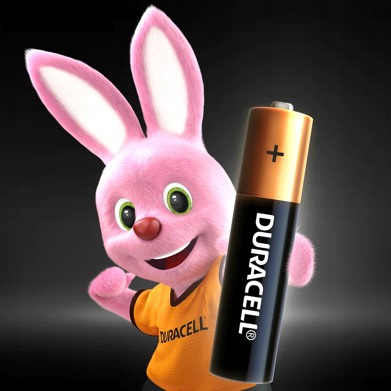 Bateria alkaliczna Duracell AA (R6) 10szt.