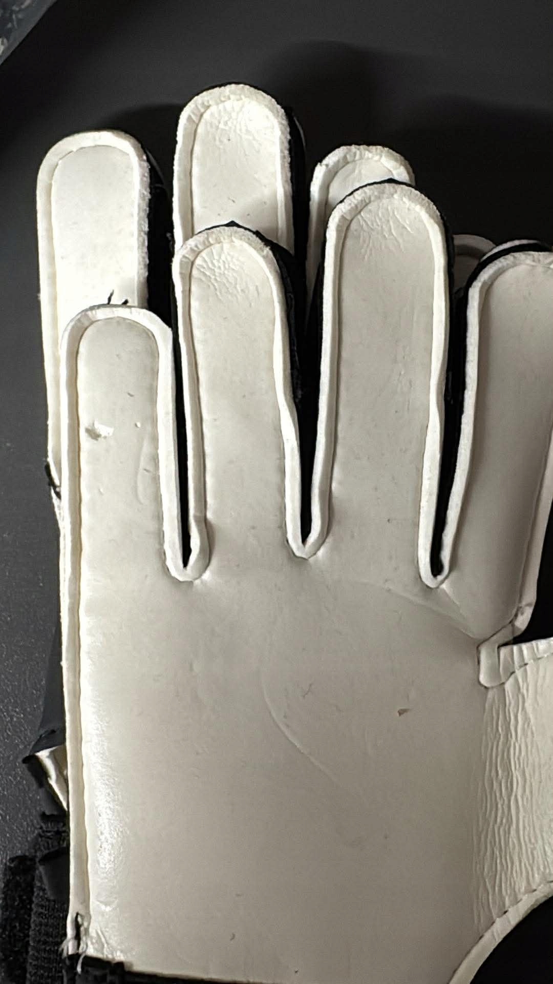 Rękawice bramkarskie adidas Predator Training r. 4,5