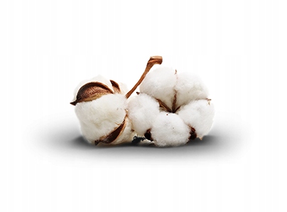 kołdra 220x240 bawełniana ecotton BIO całoroczna