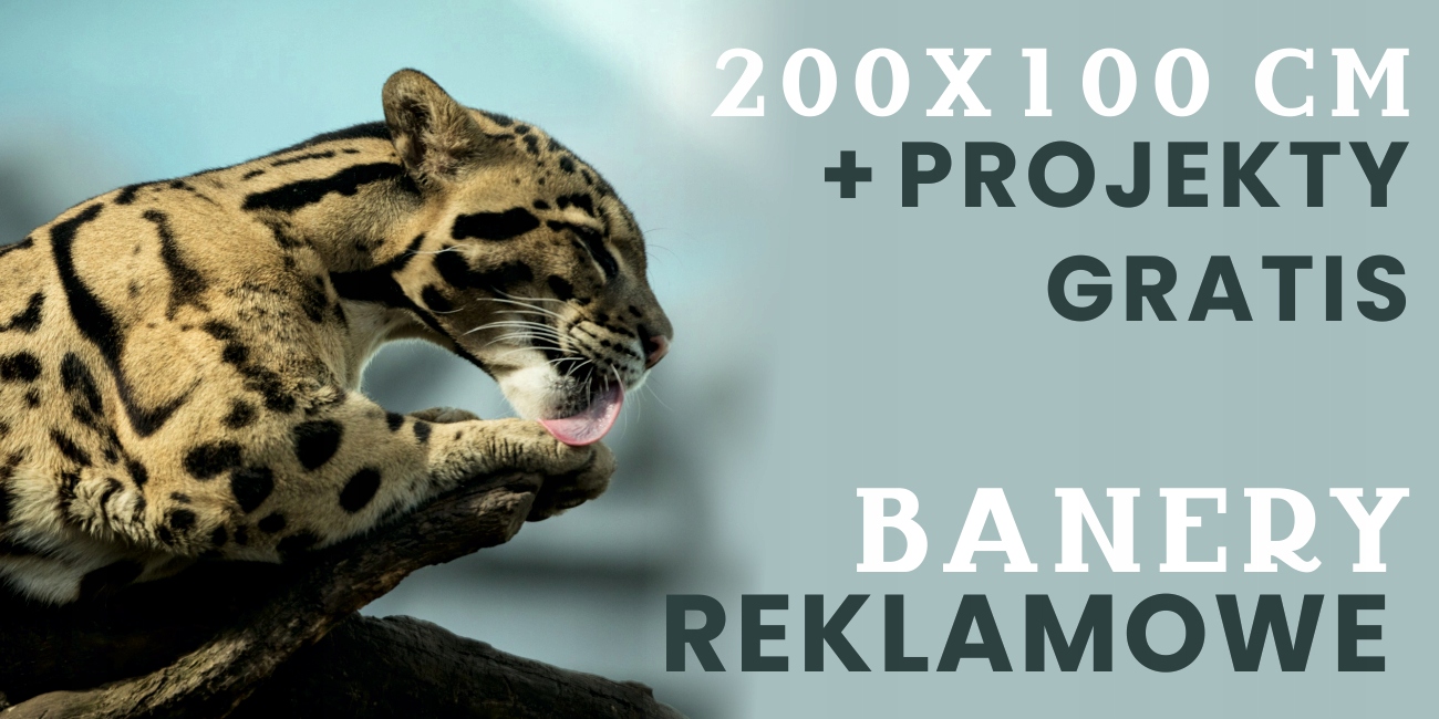 BANER REKLAMOWY oczkowany 200x100 DOWOLNA GRAFIKA NAPIS projekt w cenie