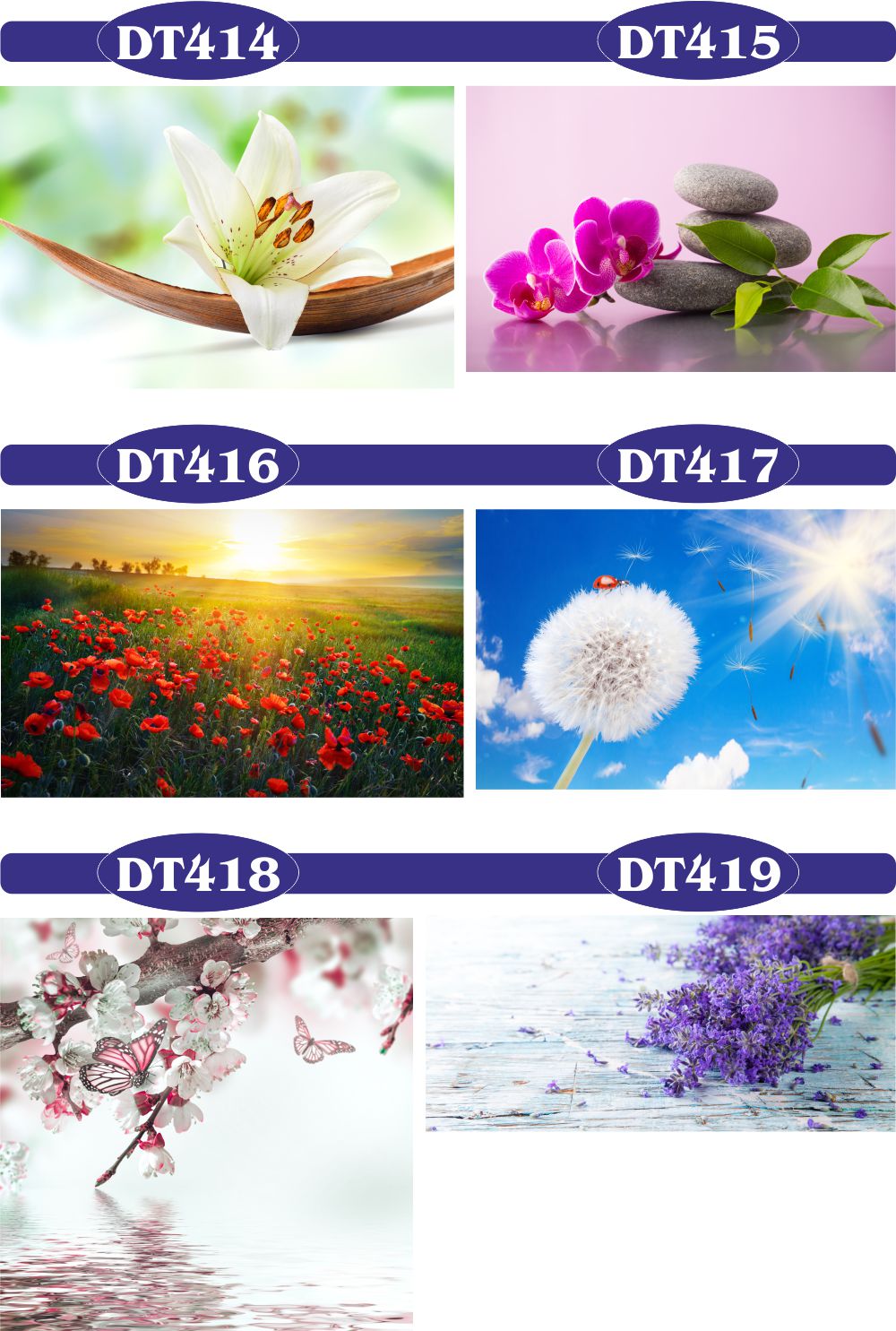 fototapety FOTOTAPETA na wymiar KWIAT kamienie SPA