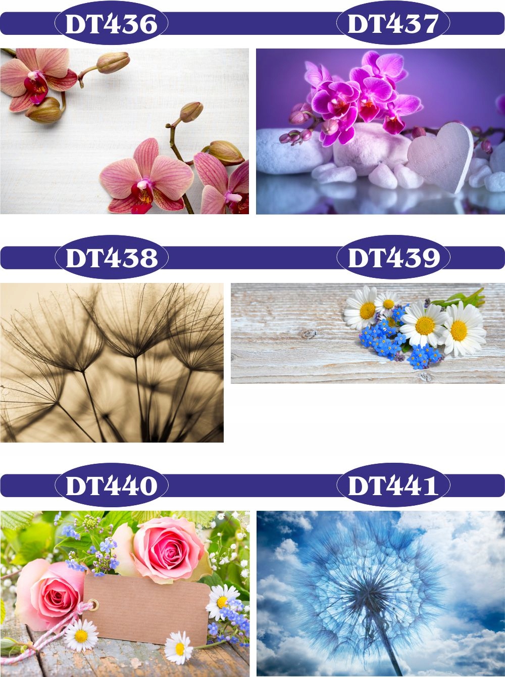 fototapety FOTOTAPETA na wymiar KWIAT kamienie SPA