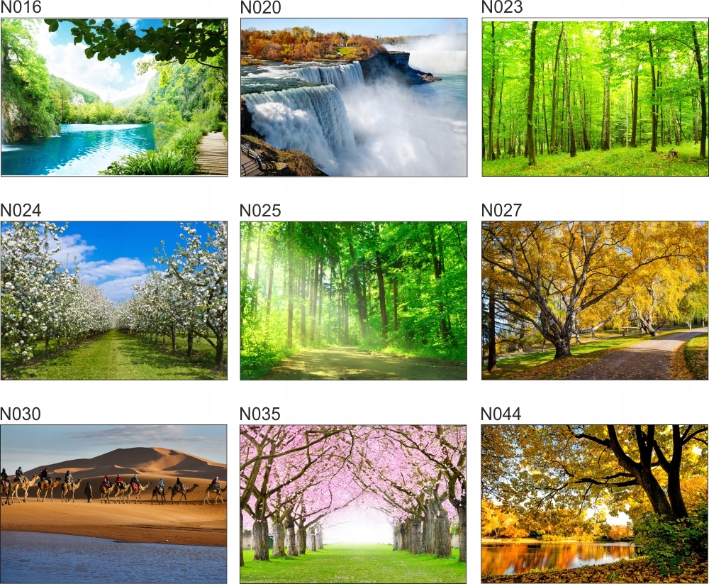 Fototapeta 3D widok kwiaty góry we mgle 200x130 FL