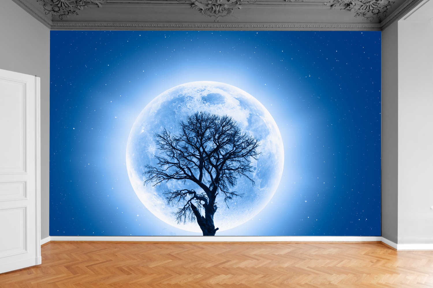 Fototapeta DRZEWO KONAR PEŁNIA KSIĘŻYCA 390x280