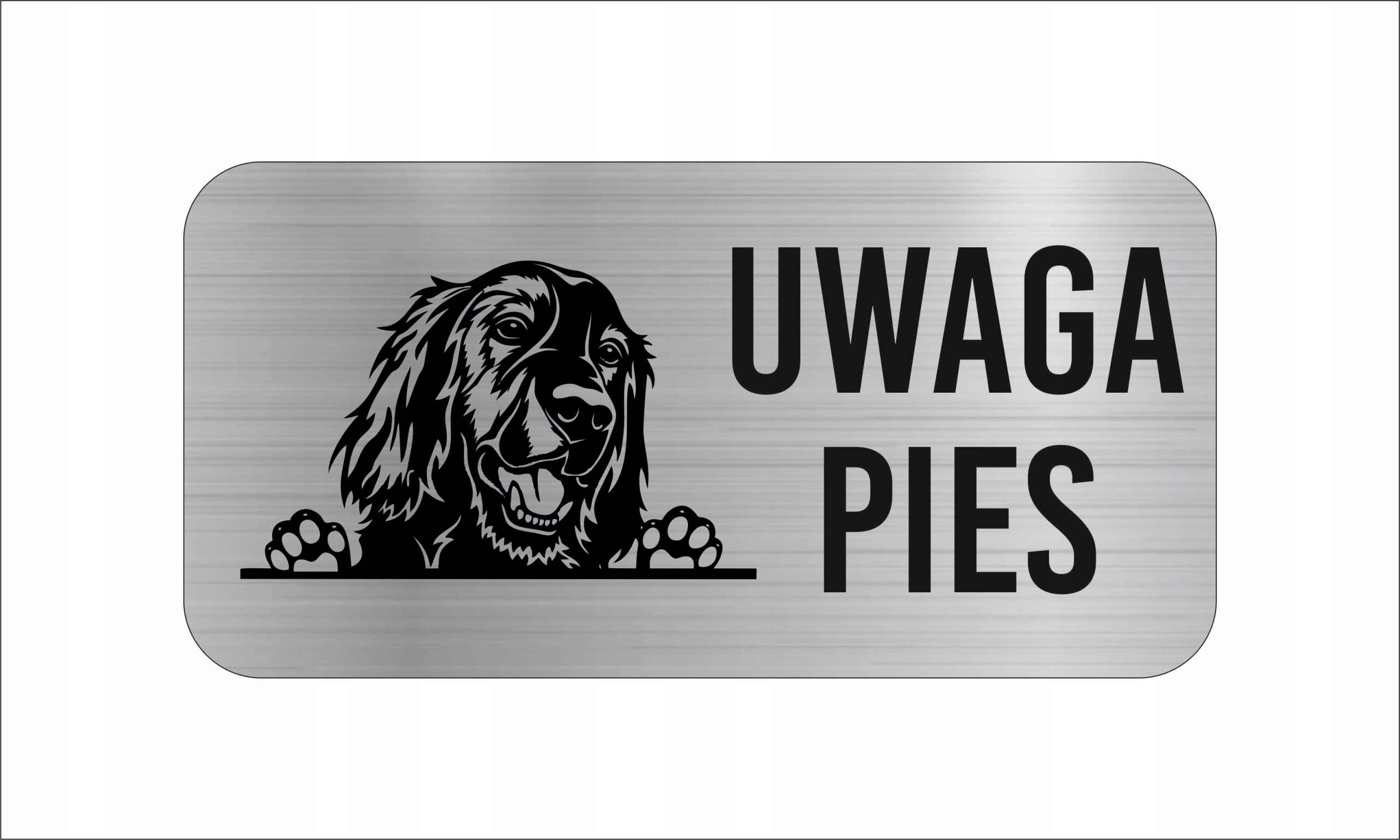 GRAWER Tabliczka nierdzewna laminat 20x10 UWAGA PIES Seter irlandzki
